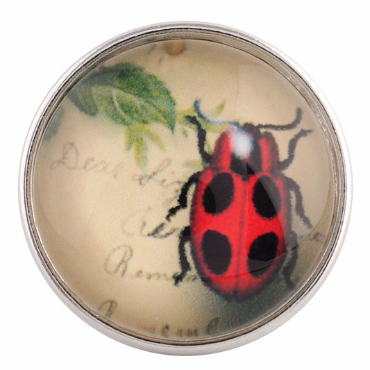 40100 - Snap - 20mm - Red and Black Beetle on Parchment