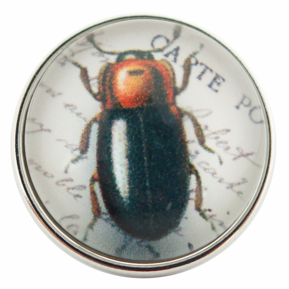 40102 - Snap - 20mm - Black and Orange Beetle