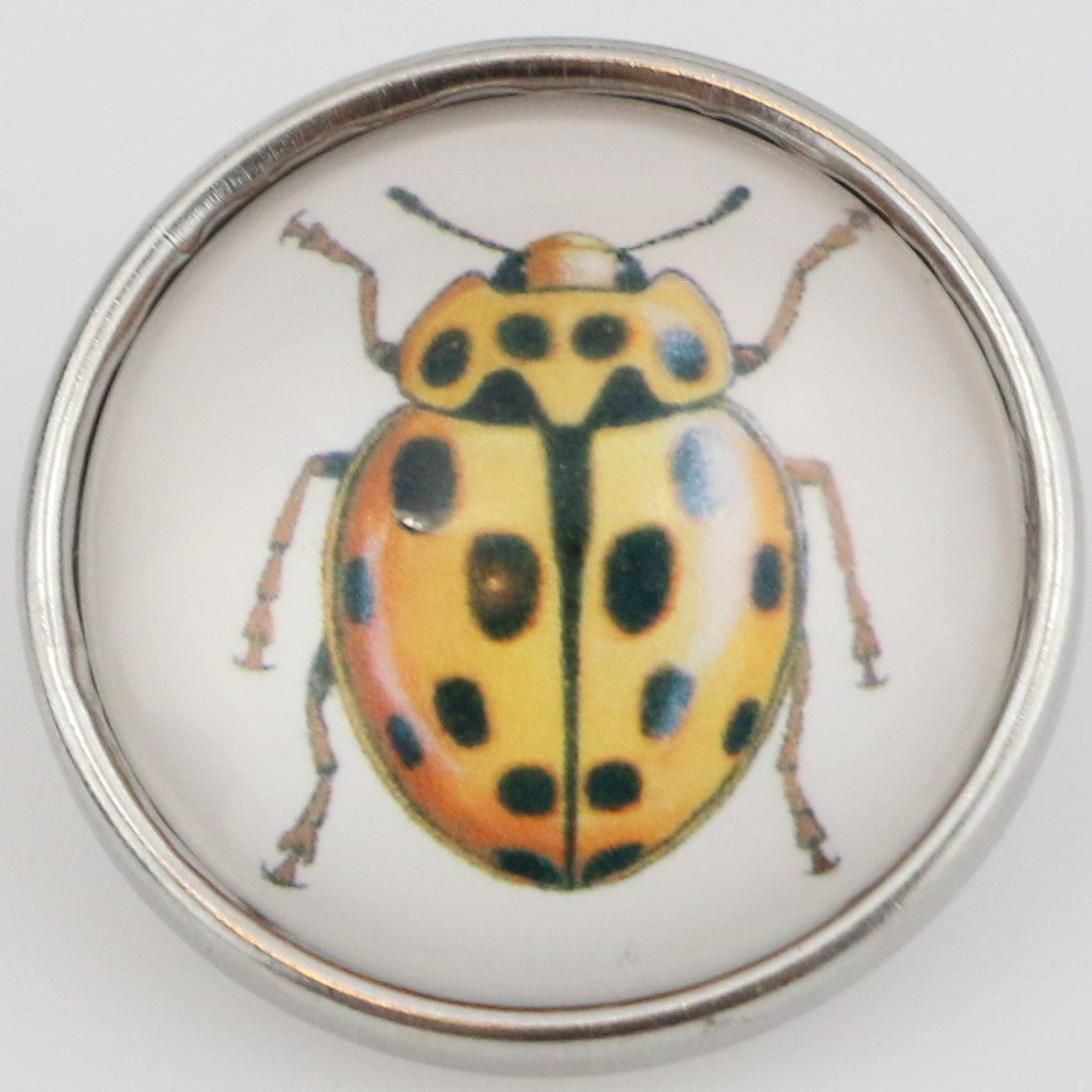 40104 - Snap - 20mm - Yellow Beetle with Black Spots