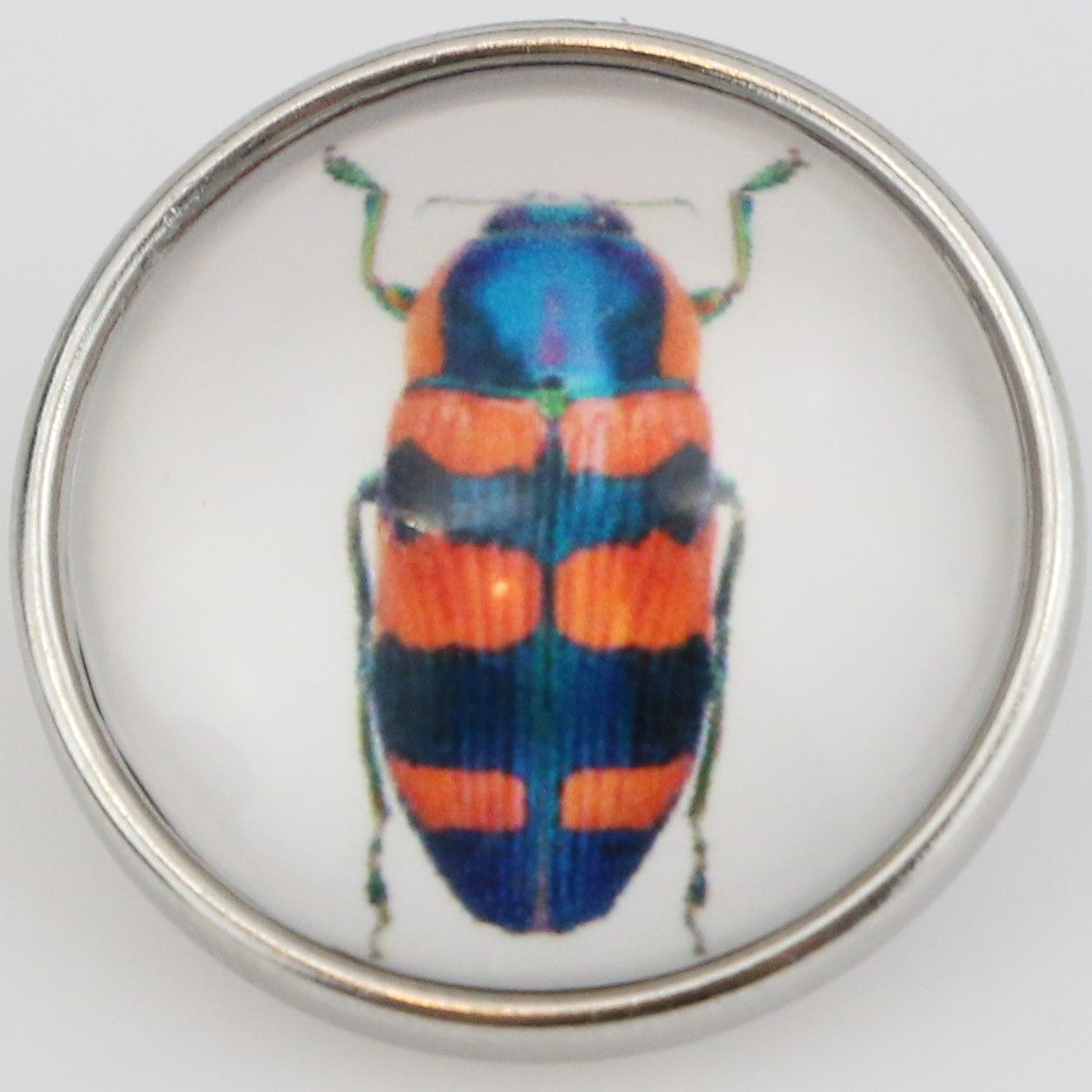 40105 - Snap - 20mm - Blue and Orange Beetle