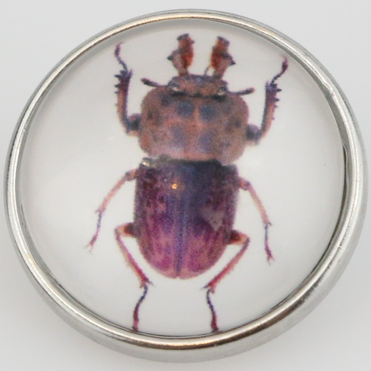 40106 - Snap - 20mm - Brown Beetle with Purple Shading