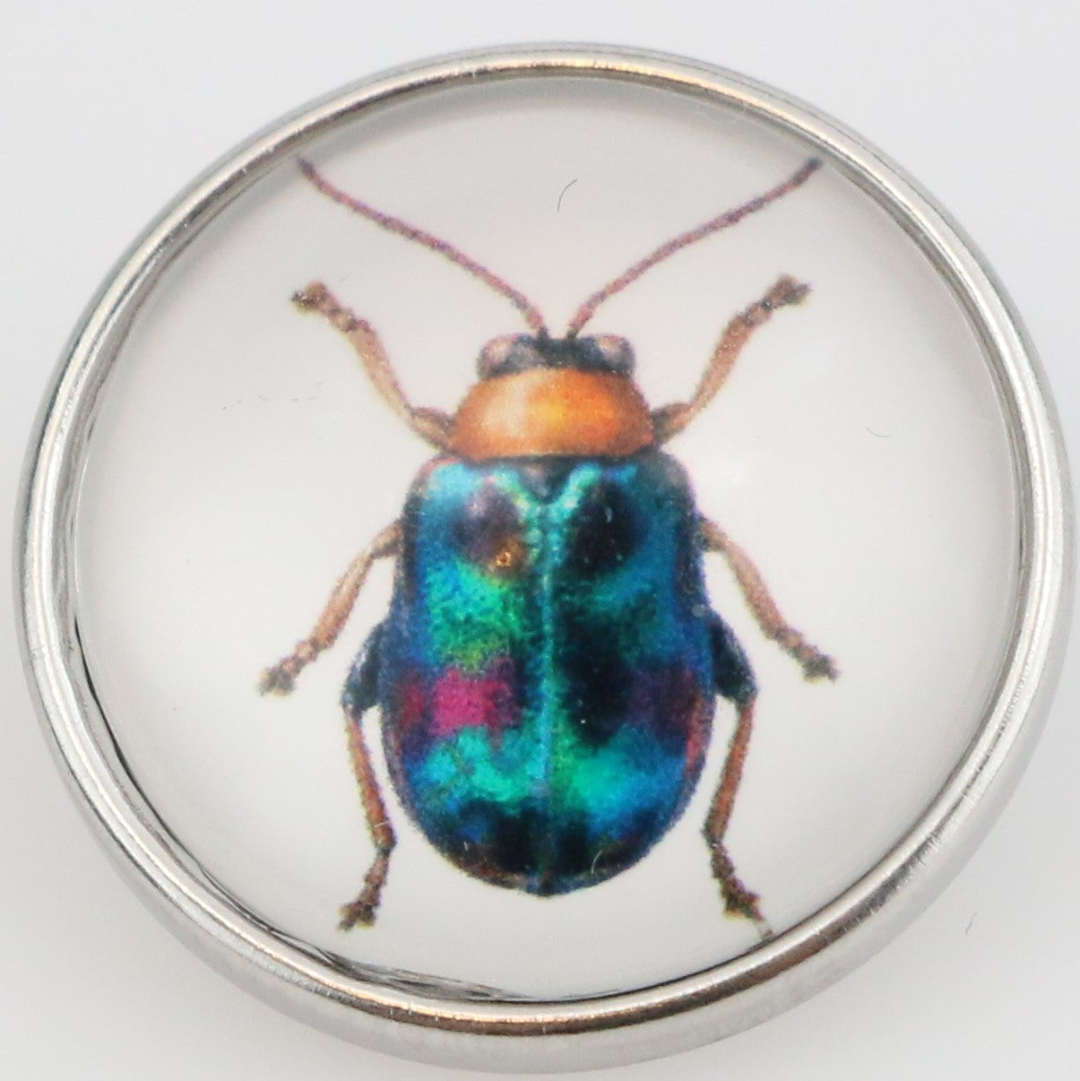 40110 - Snap - 20mm - Colorful Beetle