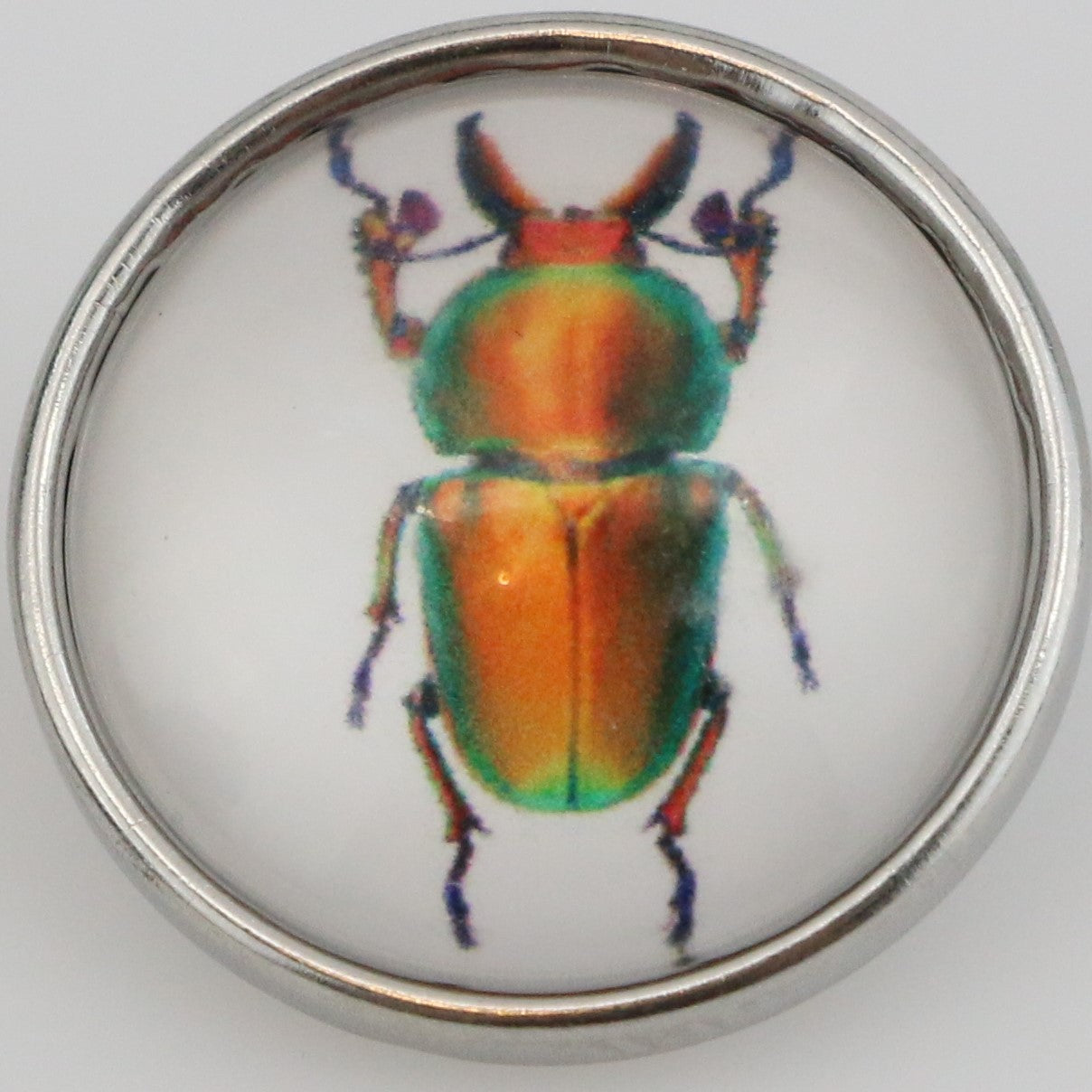 40112 - Snap - 20mm - Orange and Green Beetle