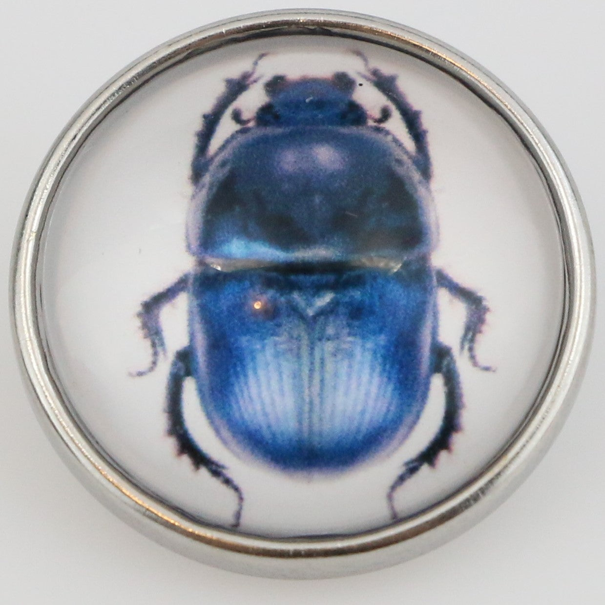 40113 - Snap - 20mm - Blue Beetle