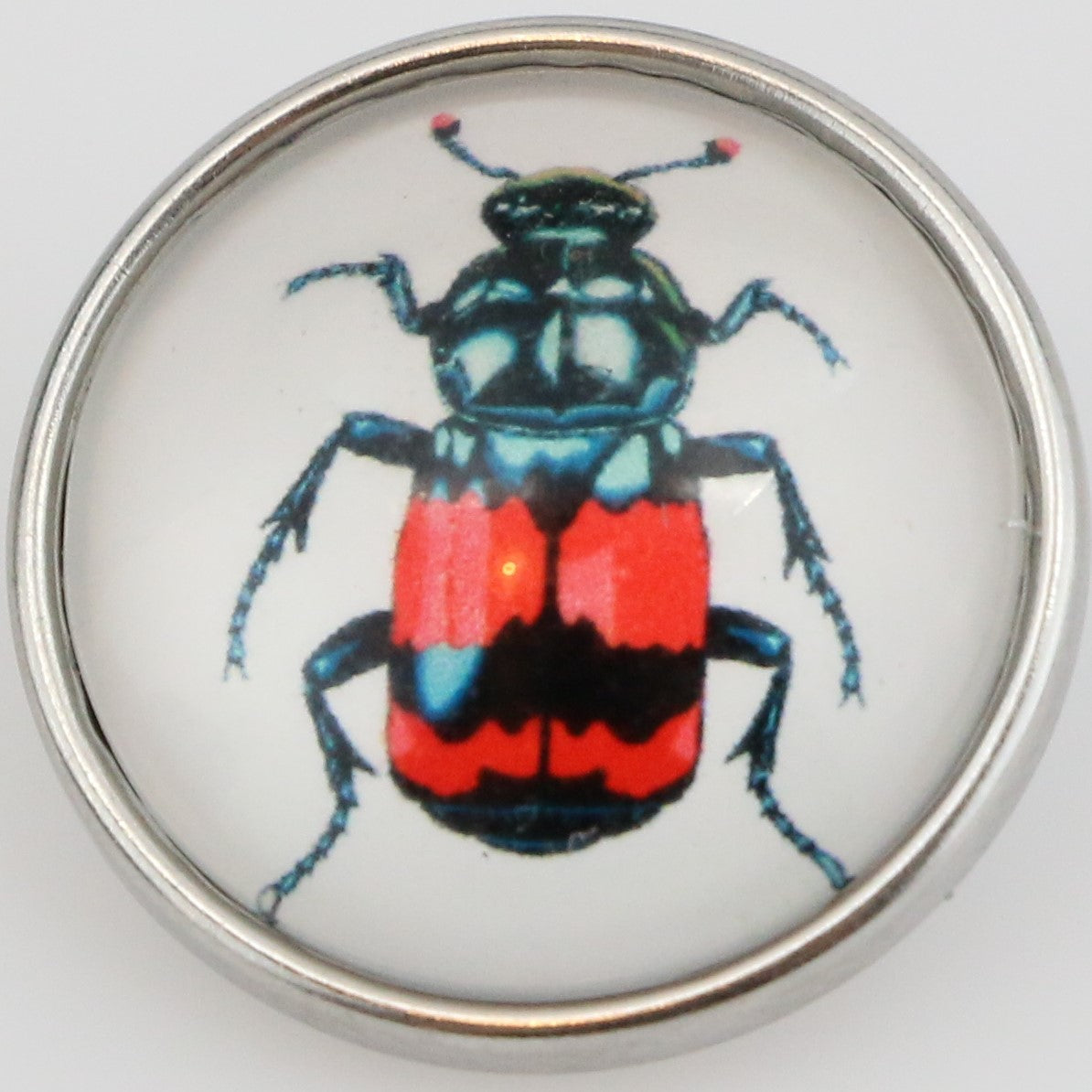 40114 - Snap - 20mm - Red and Black Beetle