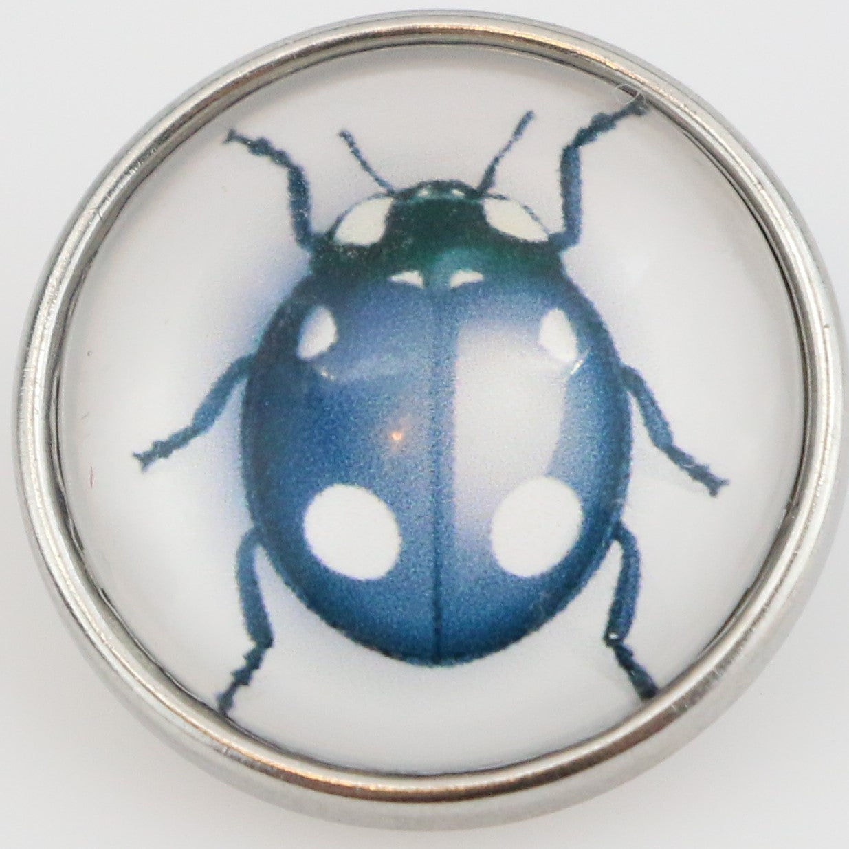 40124 - Snap - 20mm - Blue Ladybug with White Spots