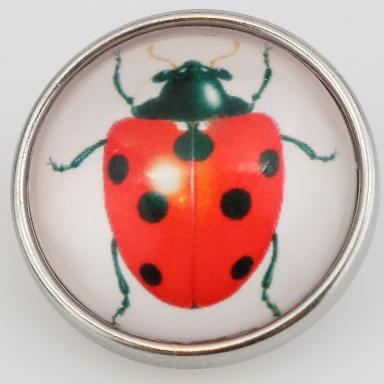 40125 - Snap - 20mm - Red Ladybug