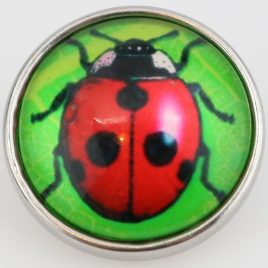 40127 - Snap - 20mm - Red Ladybug on Green