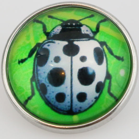40128 - Snap - 20mm - White Ladybug on Green
