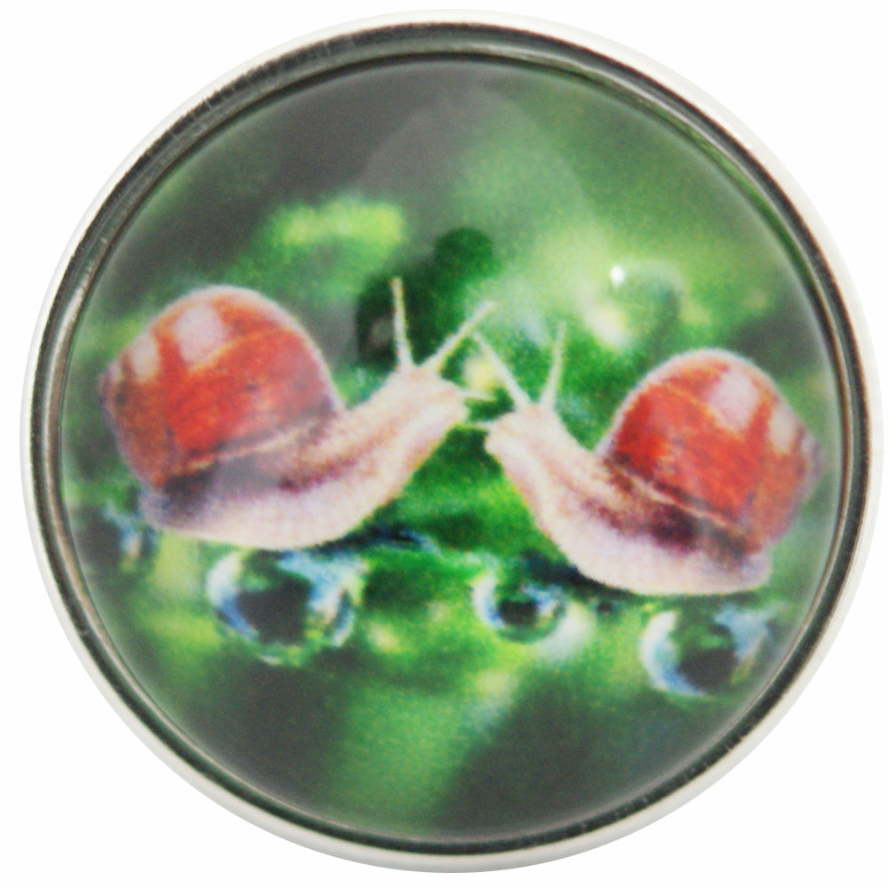 40178 - Snap - 20mm - Snails